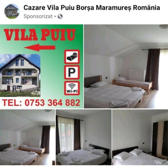 Vila Puiu Borsa Mm 外观 照片