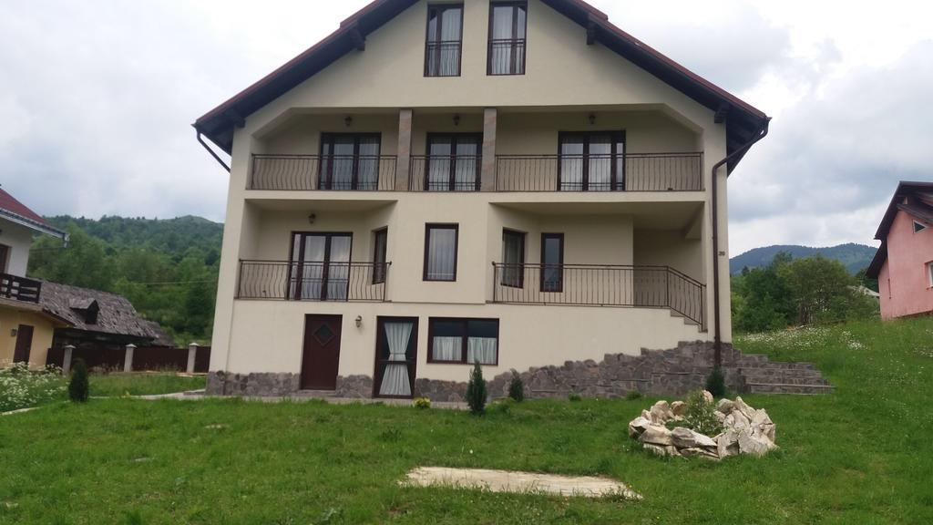 Vila Puiu Borsa Mm 外观 照片